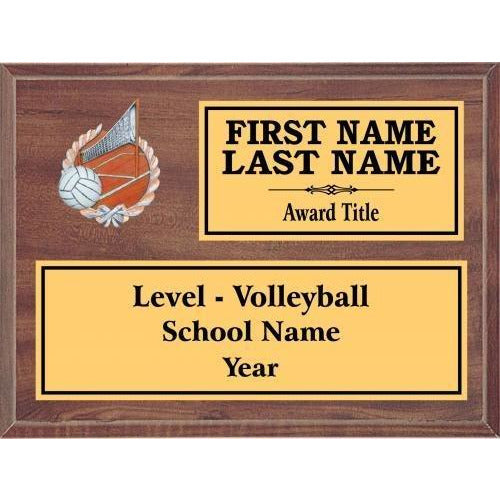 Volleyball Icon Plaque - Cherry Finish